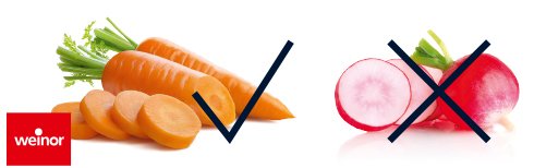 Image shows orange carrots with green tops on the left and pink radishes crossed out on the right. Image shows orange carrots with green tops on the left and pink radishes crossed out on the right.